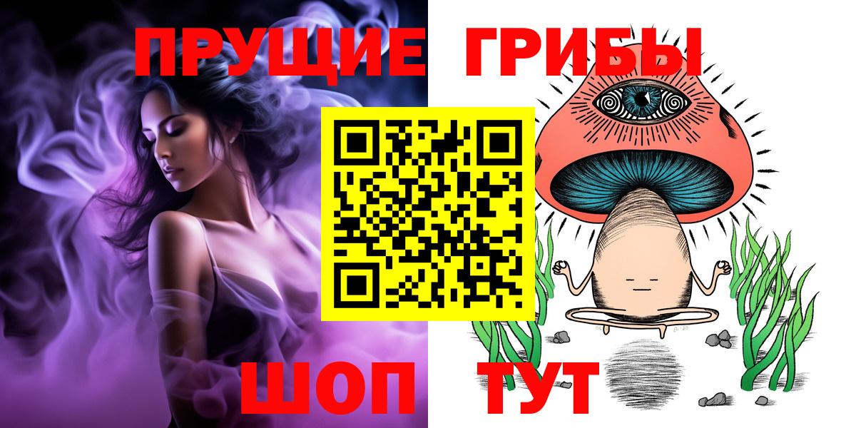 Псилоцибиновые грибы GOLDEN TEACHER  Вход с VPN  Ивантеевка  Псилоцибиновые грибы прущие грибы 